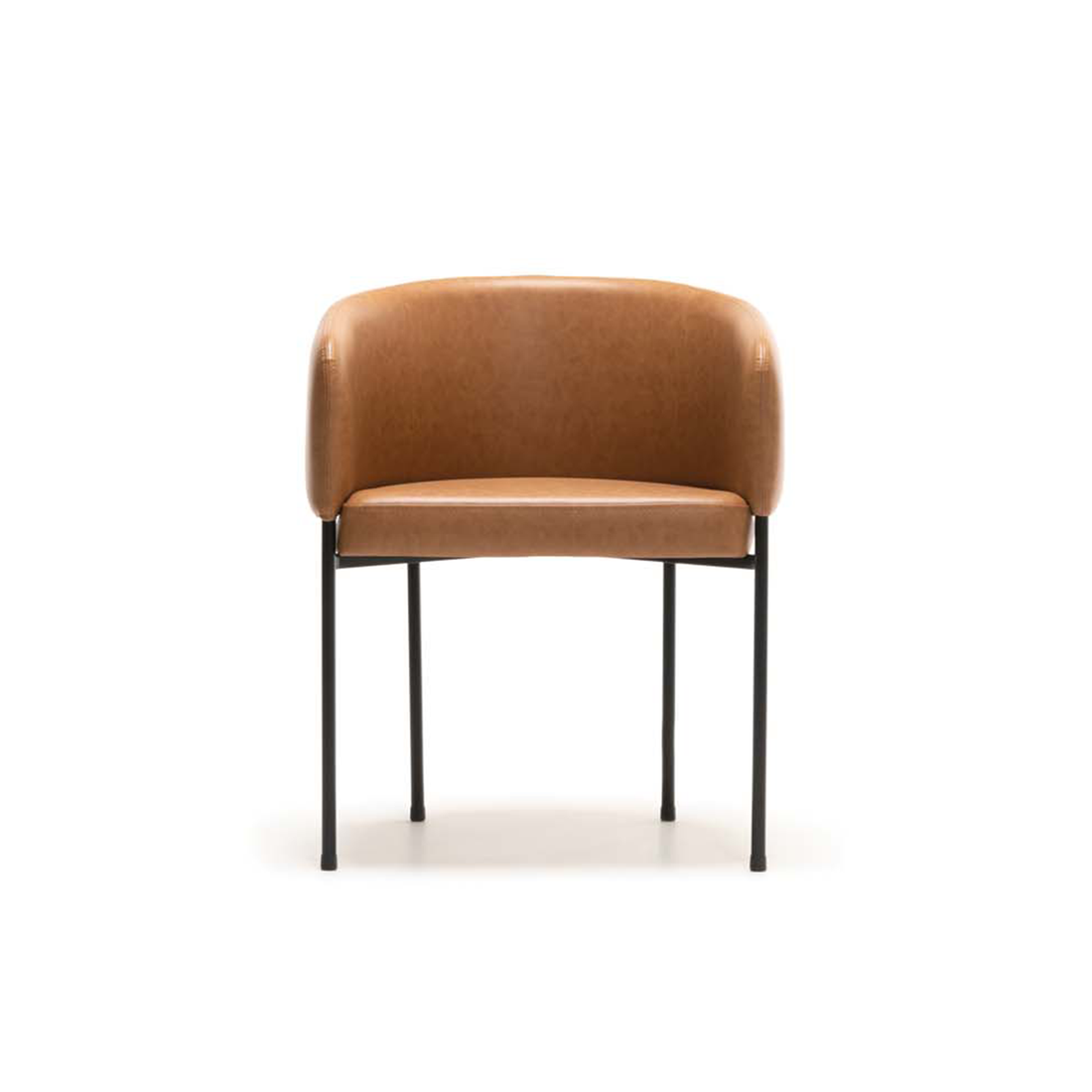 Tavares Dining Chair - Desert